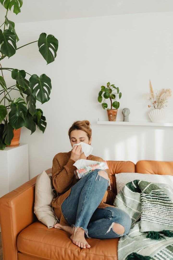 Comparatif des meilleurs purificateurs d'air pour allergies et asthme