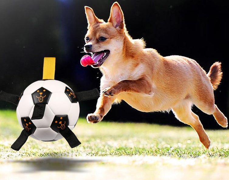 Rope Football Pet Training Ball