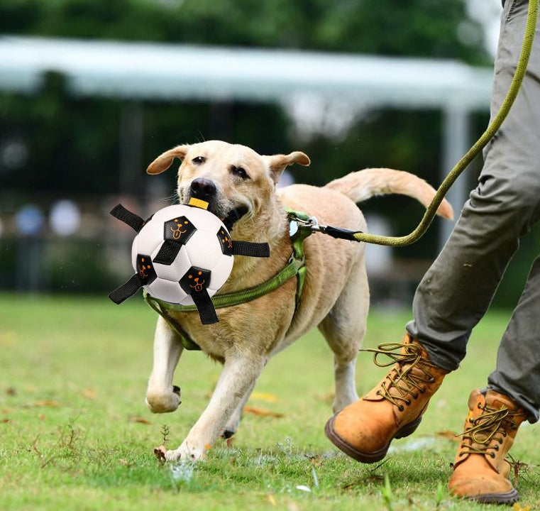 Rope Football Pet Training Ball