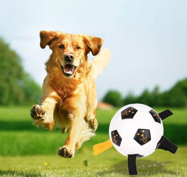 Rope Football Pet Training Ball