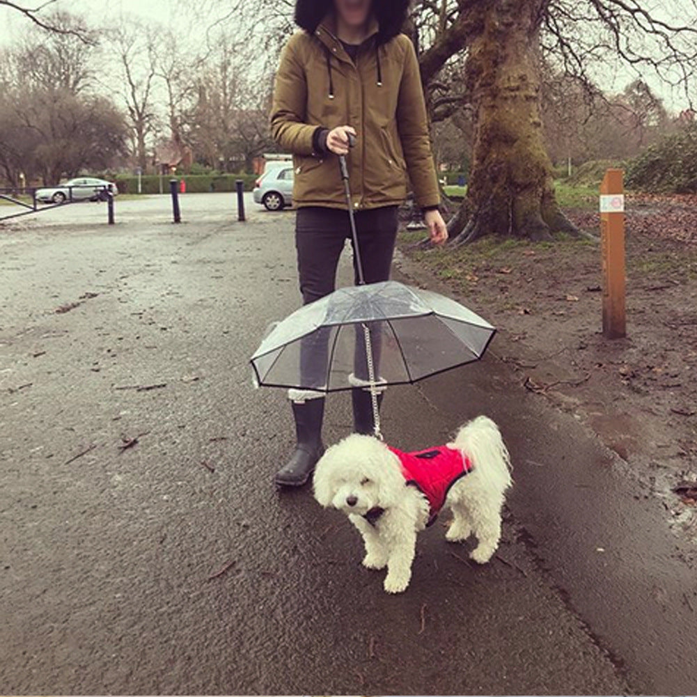 Umbrella For Dogs