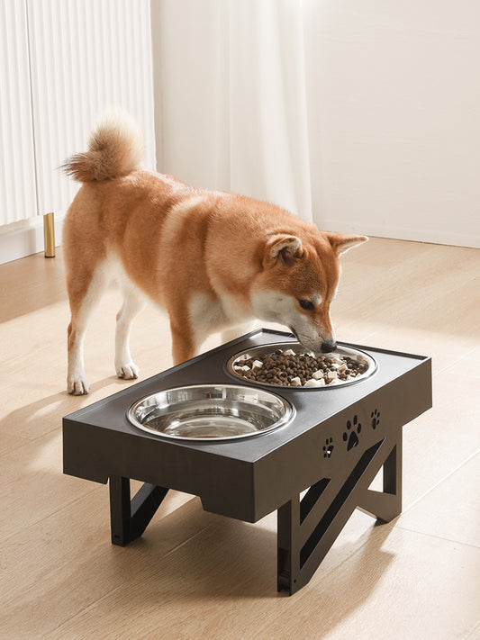 Elevated Dog Bowls