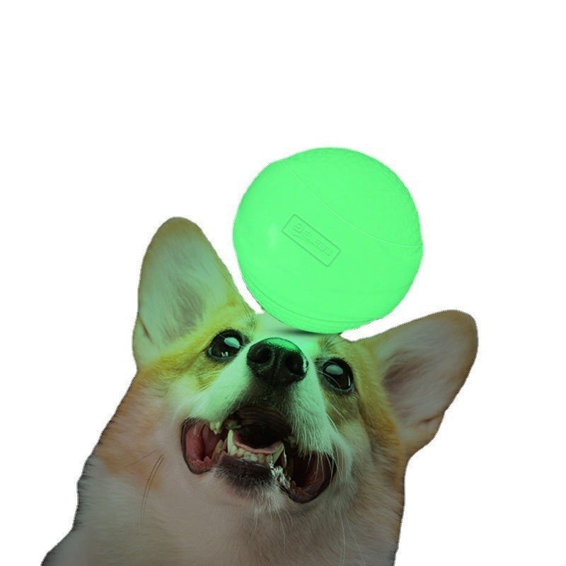 Luminous Dog Molar Toy Ball