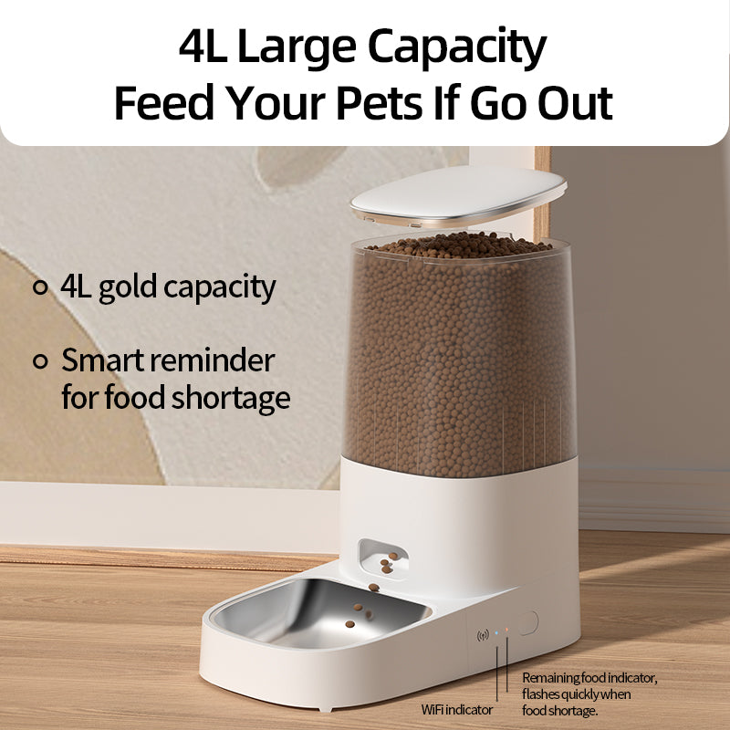 Automatic Dog Feeder