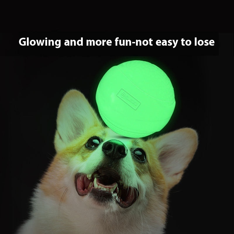 Luminous Dog Molar Toy Ball