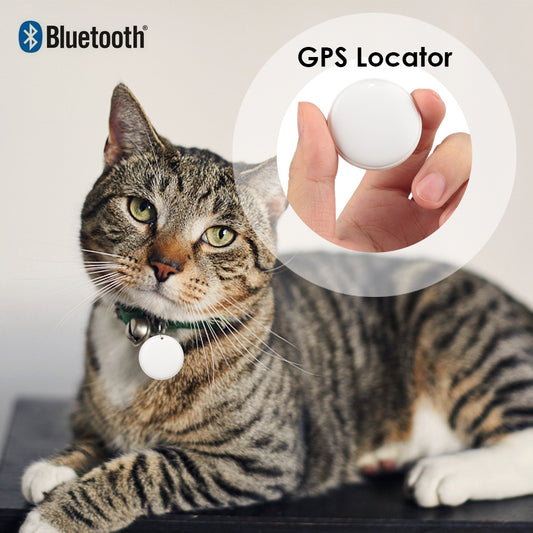 Cat Tracker