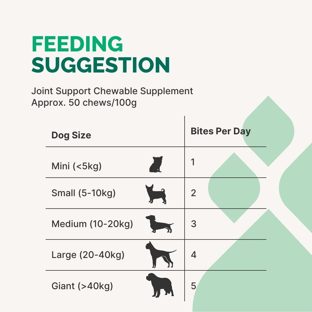 Supplément à croquer pour articulations et mobilité pour chiens 