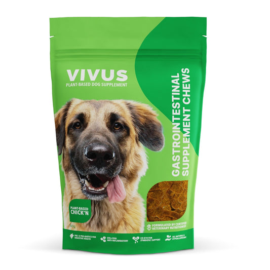 Gastrointestinal Chewable Supplement For Dogs