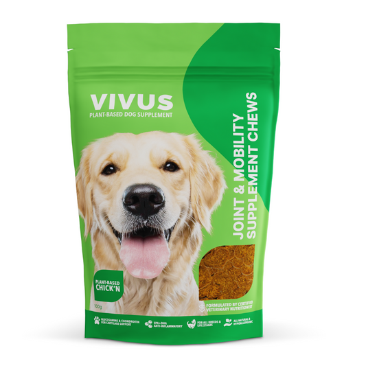 Joint and Mobility Chewable Supplement for Dogs