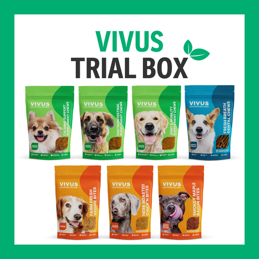 Vegan Dog Treats & Chews Trial Box