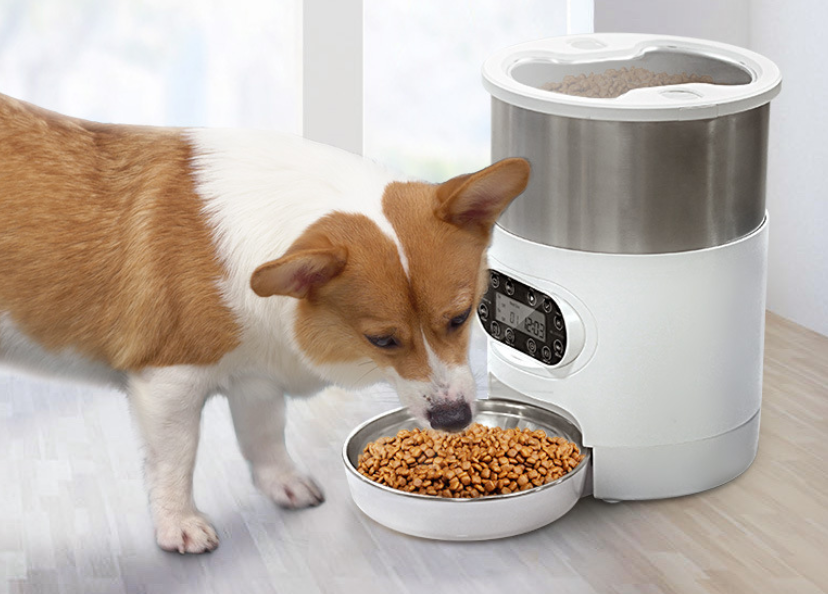 Smart Pet Feeder