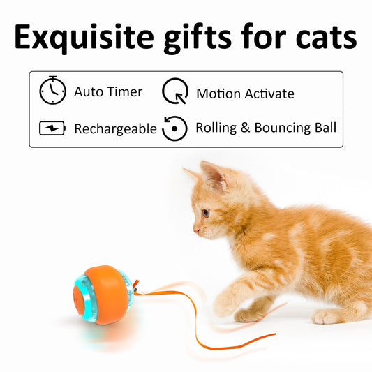 Electric Cat Ball Toy