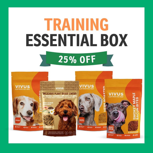 Vegan Dog Training Essential Box