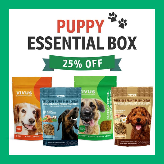 Vegan Puppy Essential Box